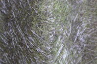 Dymchurch fibreglass roof work